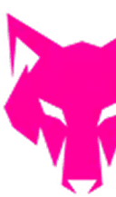 Logo Loupit